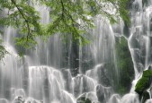 世界保龄球青年联赛线上教学内容持续更新，世界保龄球联合会
